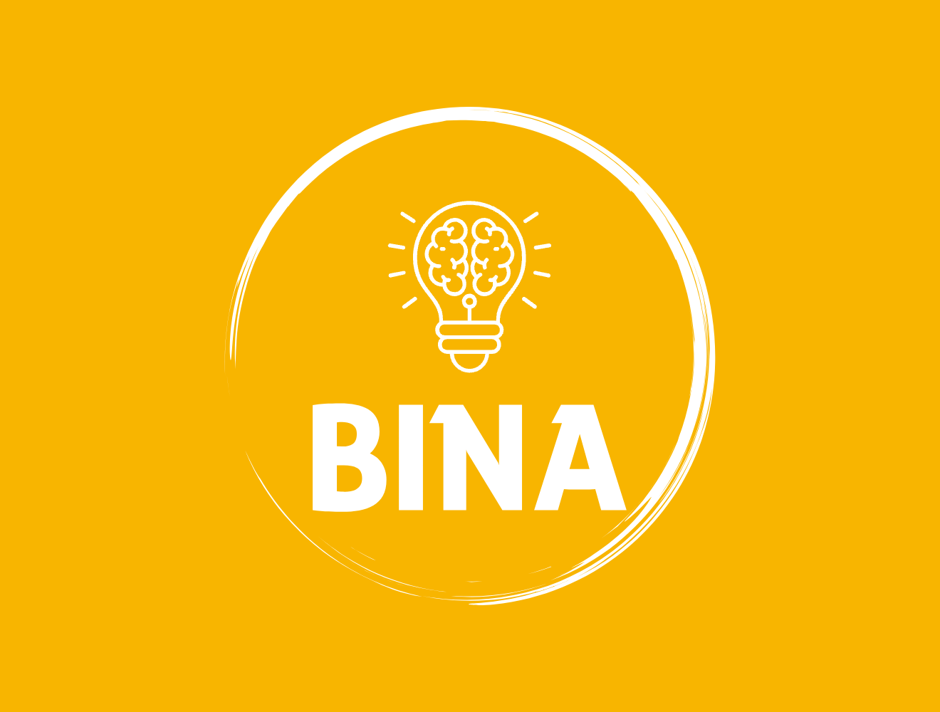 BINA Online Examination System Logo - Nigerian CBT Platform